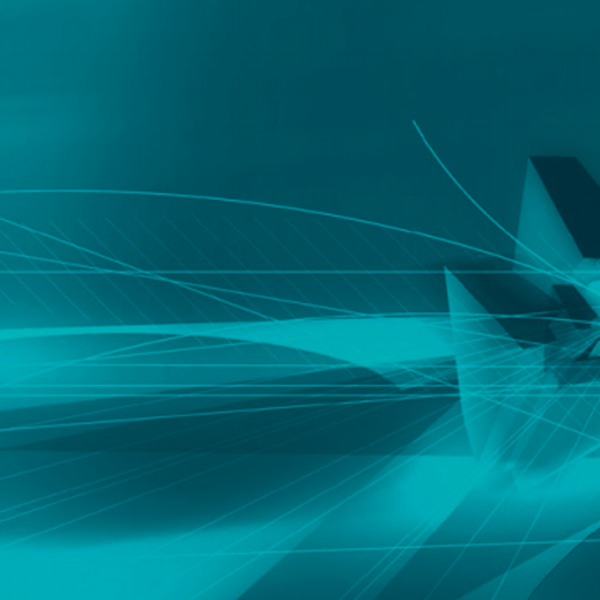 Topambtelijk vakmanschap