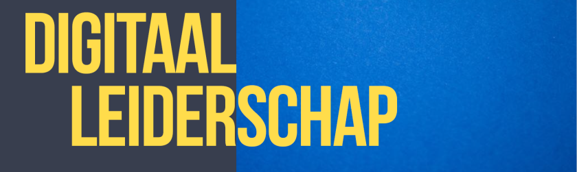 Essay Digitaal leiderschap v2